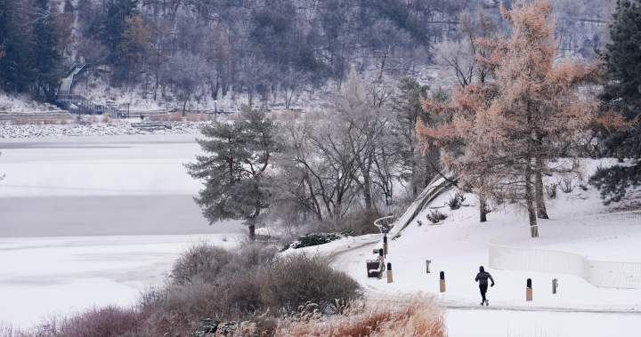 Polar vortex: What is the frigid arctic system hitting Canada? – National