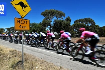 SA heatwave leads to total fire bans, catastrophic conditions and Tour Down Under changes