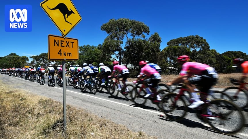 SA heatwave leads to total fire bans, catastrophic conditions and Tour Down Under changes