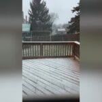 Snow Squall Causes Problems Across Chicagoland