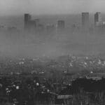 What air pollution does to the human body
