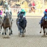 2026 Kentucky Derby Trail: Three Heating Up, Three Cooling Down for Feb. 10