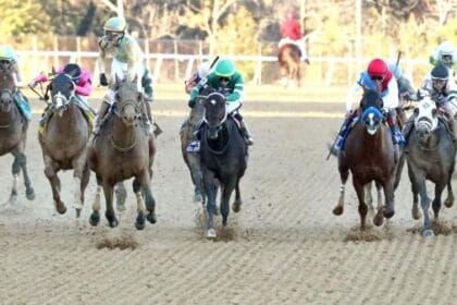 2026 Kentucky Derby Trail: Three Heating Up, Three Cooling Down for Feb. 10