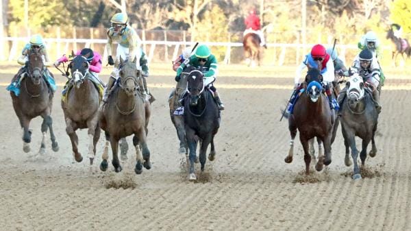 2026 Kentucky Derby Trail: Three Heating Up, Three Cooling Down for Feb. 10 2026 Kentucky Derby Trail: Three Heating Up, Three Cooling Down for Feb. 10