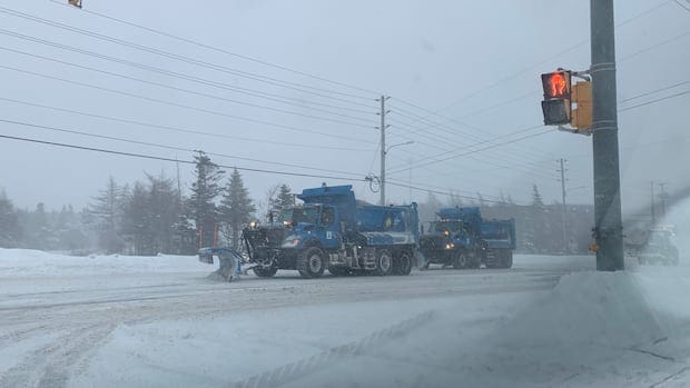 As winter storm approaches, all St. John’s area schools, government buildings preemptively close