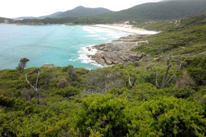 Australia’s best beach ‘in danger of being loved to death’ by overtourism after Lonely Planet listing