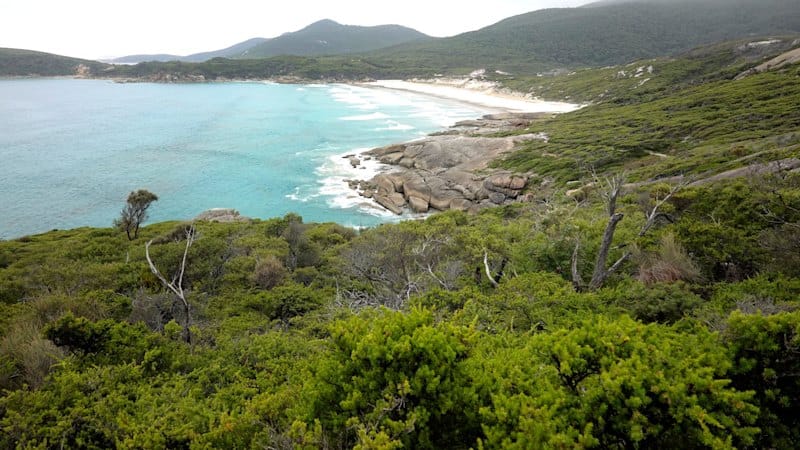 Australia’s best beach ‘in danger of being loved to death’ by overtourism after Lonely Planet listing