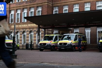 Fungal infection cluster at Royal Prince Alfred Hospital linked to deaths of two patients