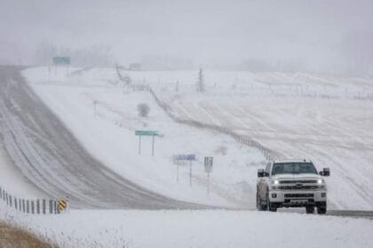 Much of Alberta could see 10 to 20 cm of snow this week