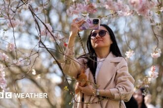 UK weather: Temperatures reach 21C in warmest day of year so far