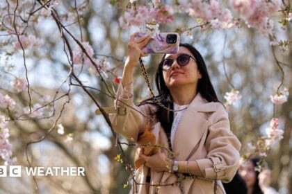 UK weather: Temperatures reach 21C in warmest day of year so far
