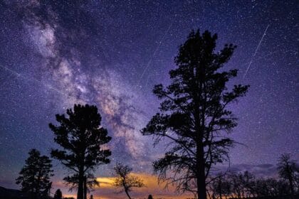 Lyrid meteor shower 2026: When, where & how to see it