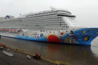 Rescue efforts reportedly suspended after cruise ship crew member fell overboard – National