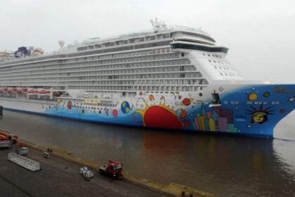 Rescue efforts reportedly suspended after cruise ship crew member fell overboard – National