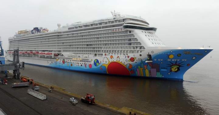 Rescue efforts reportedly suspended after cruise ship crew member fell overboard – National