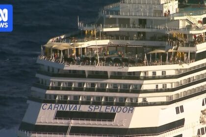 Search underway for man missing from cruise ship off Brisbane coast