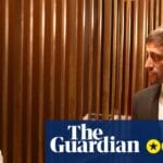 The Cage review – an astonishing, deeply moving state-of-the-nation thriller | Television