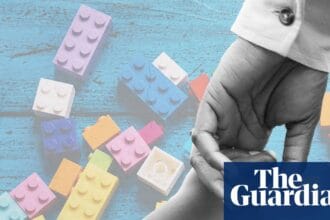 A childcare worker was asked to take baby Lily home for the weekend after a court protection order last year. She’s still there | Child protection