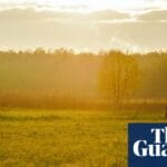 Country diary: A jaw-dropping bounty of wildlife – and a reminder of what Britain has lost | Poland