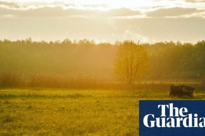 Country diary: A jaw-dropping bounty of wildlife – and a reminder of what Britain has lost | Poland