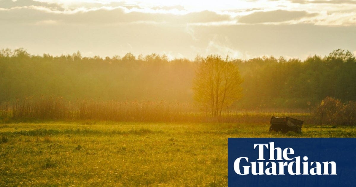 Country diary: A jaw-dropping bounty of wildlife – and a reminder of what Britain has lost | Poland