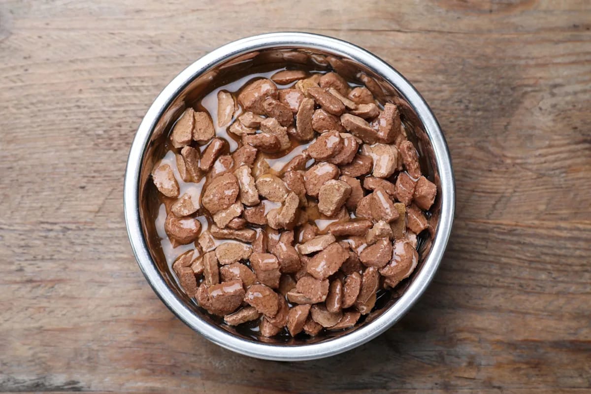 FDA warns pet owners as frozen dog food is recalled nationwide over plastic contamination FDA warns pet owners as frozen dog food is recalled nationwide over plastic contamination