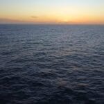 Giant squid detected in deep-sea canyon off coast of Australia