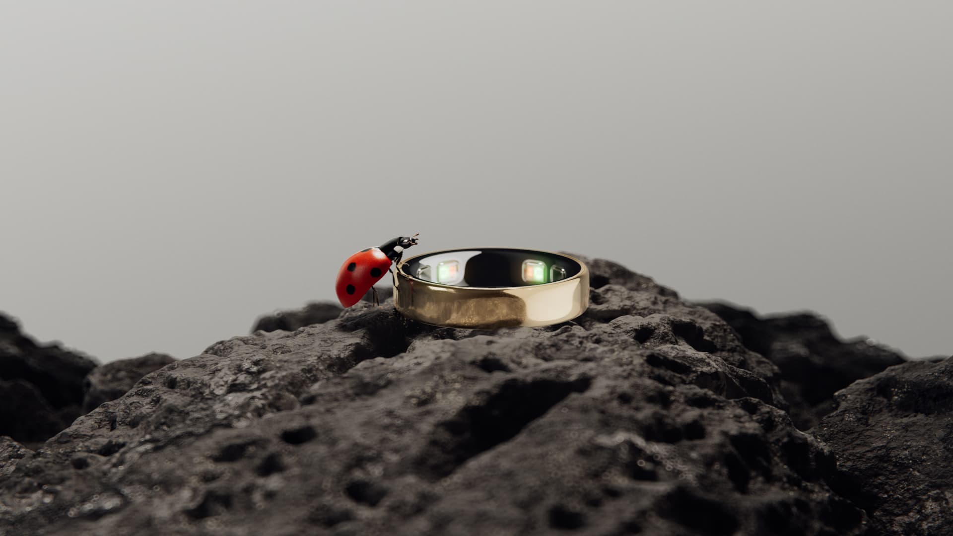Oura is launching its smallest smart ring yet Oura is launching its smallest smart ring yet