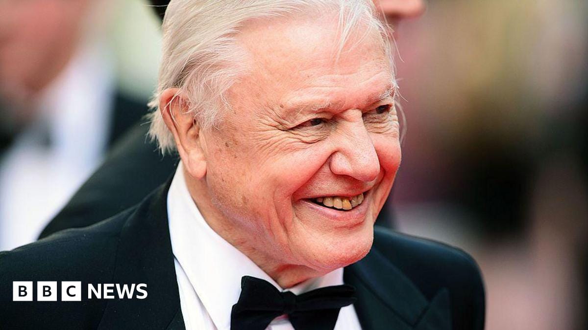 Parents name newborn after Attenborough on 100th birthday Parents name newborn after Attenborough on 100th birthday