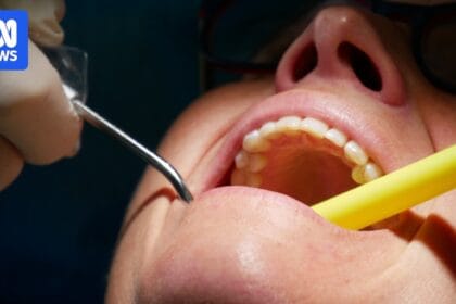 Patients of retired Sydney dentist urged to test for bloodborne viruses
