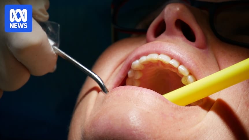 Patients of retired Sydney dentist urged to test for bloodborne viruses
