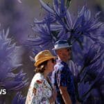 RHS Chelsea: The gardens that live on beyond the flower show