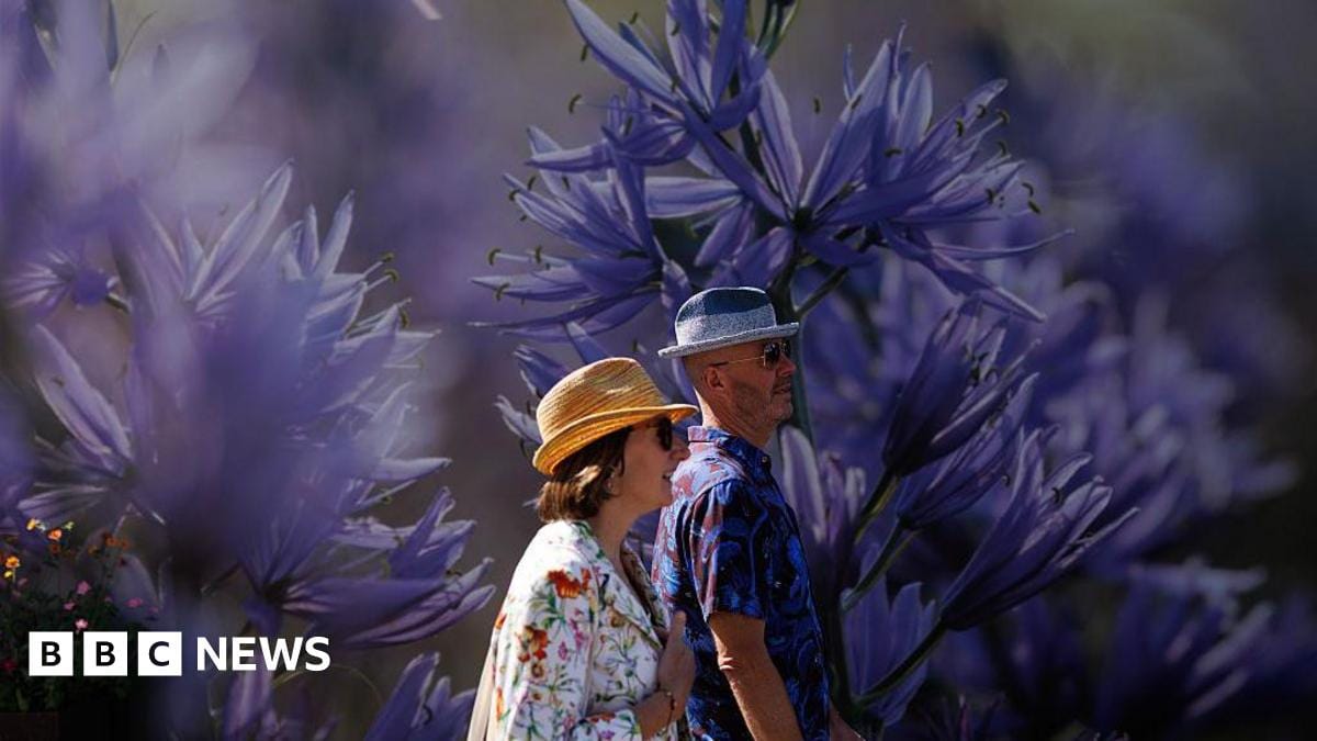 RHS Chelsea: The gardens that live on beyond the flower show