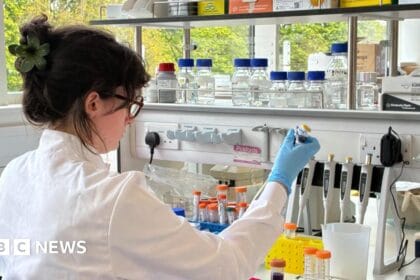 Small number of people in Scotland linked to hantavirus outbreak