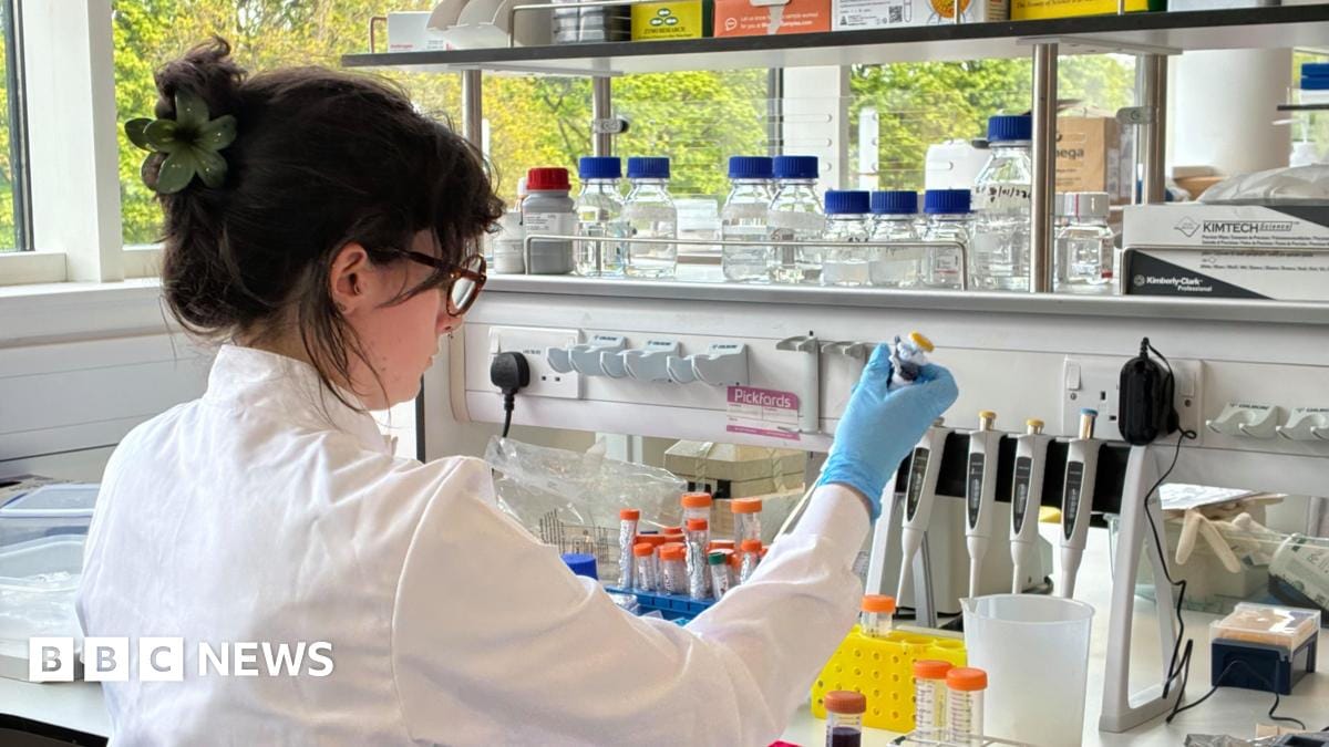 Small number of people in Scotland linked to hantavirus outbreak Small number of people in Scotland linked to hantavirus outbreak