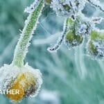 Temperatures drop to unseasonably low levels as cold snap hits