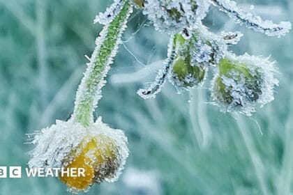 Temperatures drop to unseasonably low levels as cold snap hits