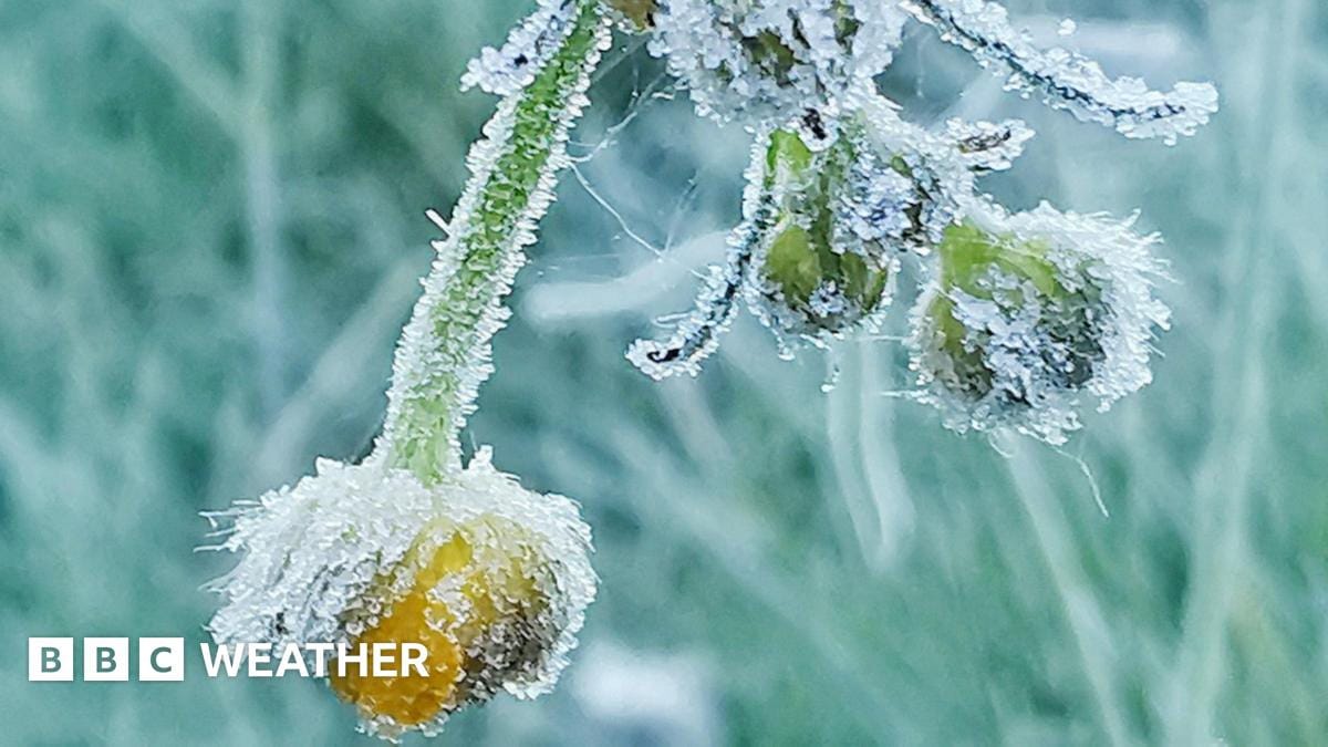Temperatures drop to unseasonably low levels as cold snap hits