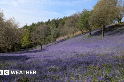 Temperatures to fall this week after the bank holiday