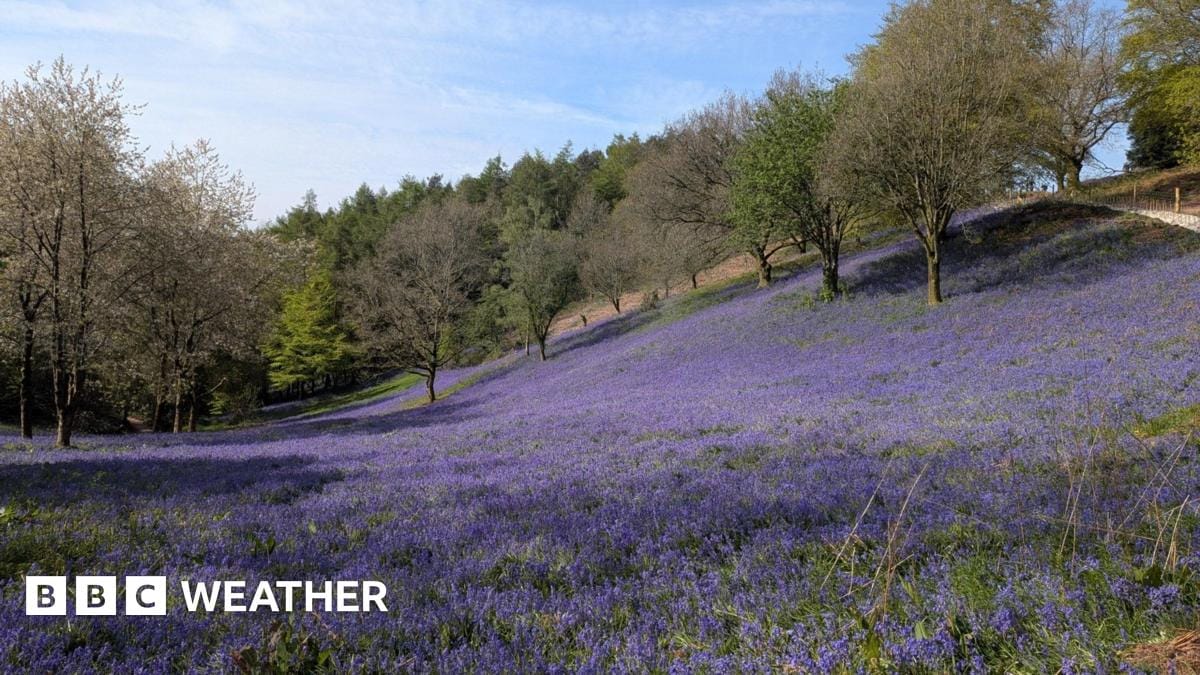 Temperatures to fall this week after the bank holiday