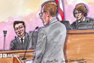 ‘That’s not how it works’ – the judge crossing swords with Musk in court