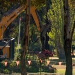 Trees razed as North Adelaide golf course redevelopment gets underway