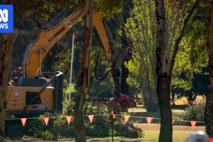 Trees razed as North Adelaide golf course redevelopment gets underway