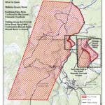 Update: Yellowstone continues area closures near Old Faithful following May 4 bear incident