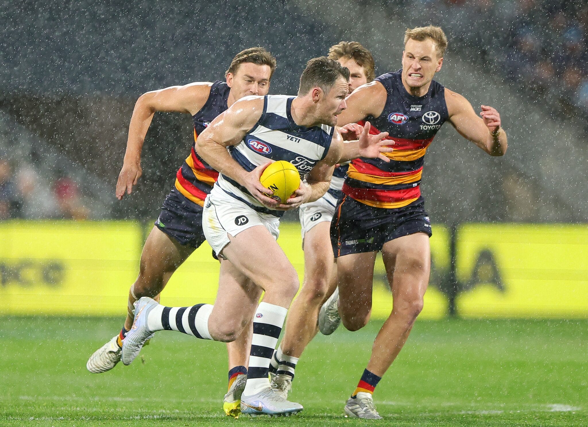 Coaches Votes | Danger Leads the Cats in Adelaide