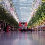Why ramping up Canada’s indoor farming capacity may prove ‘difficult’ – National