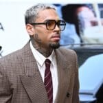 Chris Brown Dog Attack Trial Verdict: Housekeeper Wins  Million